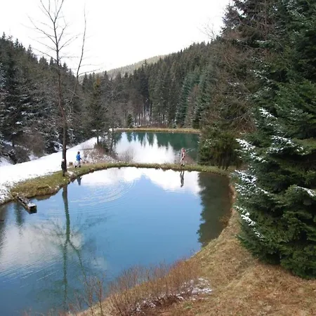 Modern Escape In Niedersfeld, Cleaning Included * Winterberg
